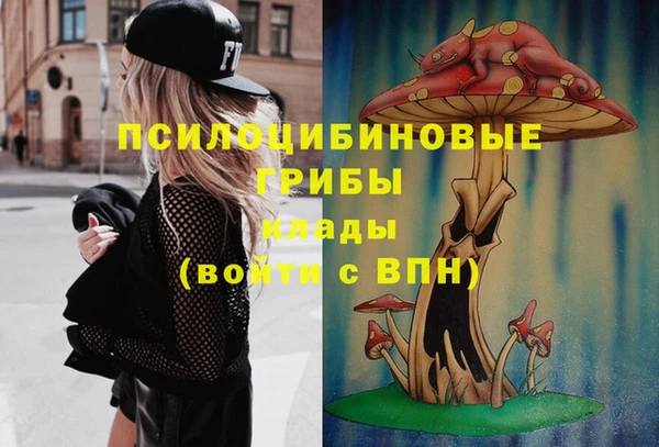 дживик Медвежьегорск
